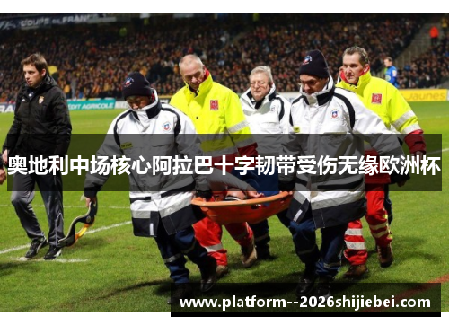 奥地利中场核心阿拉巴十字韧带受伤无缘欧洲杯